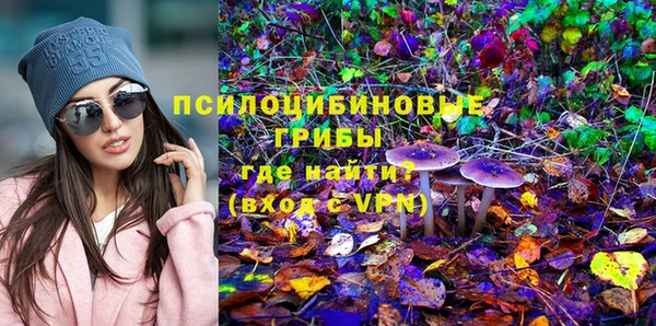 винт Михайловка