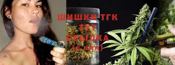 соль ск Михайлов