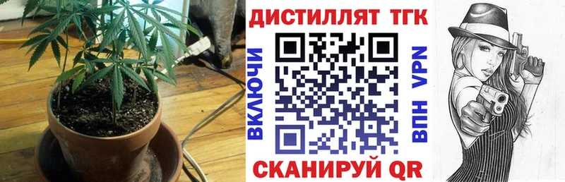 ТГК THC oil  Купить где  Малгобек 